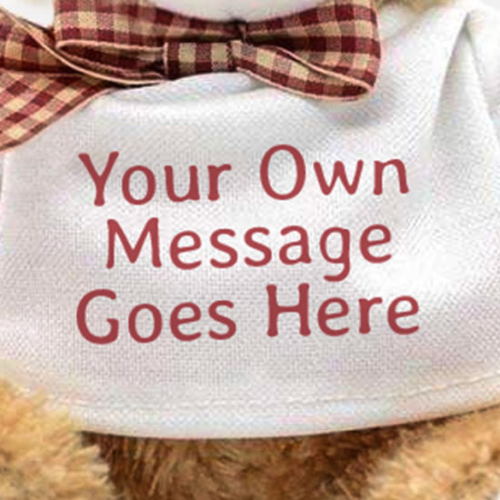 Add-Your-Own-Text-Teddy2