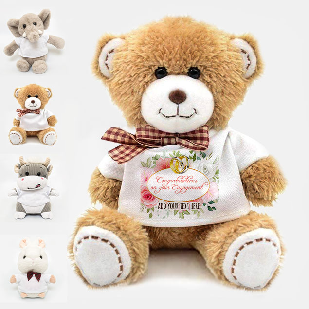 Congratulations on your Engagement Teddy