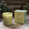 Herb Dotey Daisies Candle in Gift Box