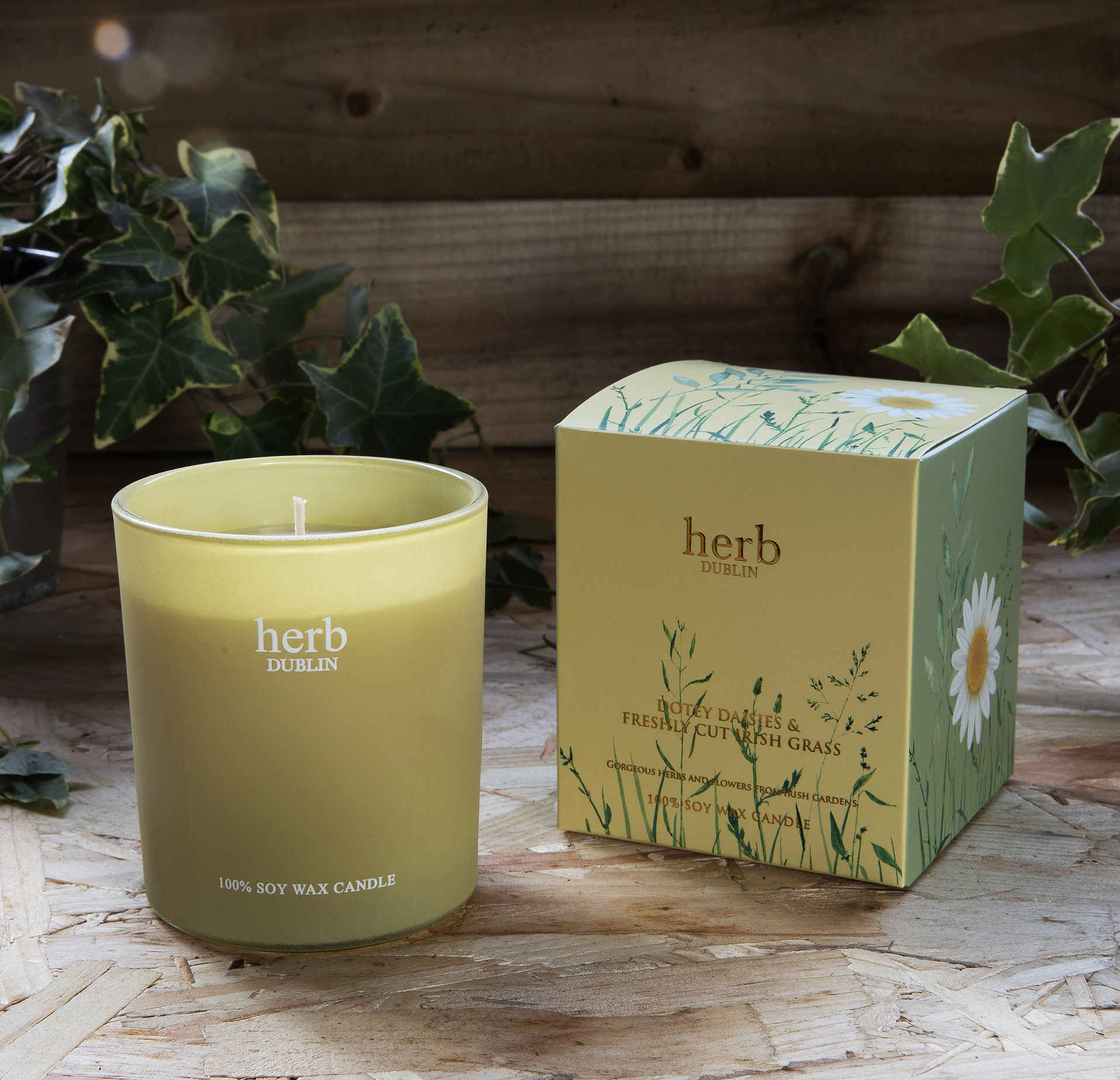 Herb Dotey Daisies Candle in Gift Box