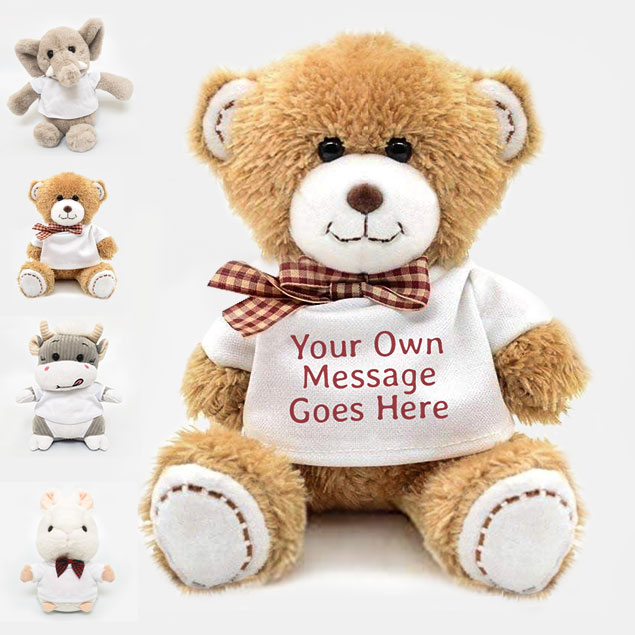 Add Your Own Text Teddy (Choose Teddy)