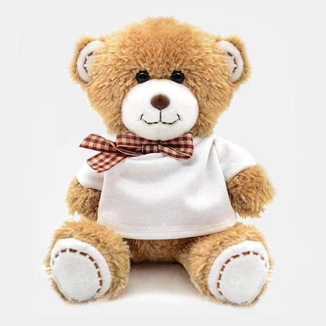 Add Your Own Text Teddy (Choose Teddy) - Image 5